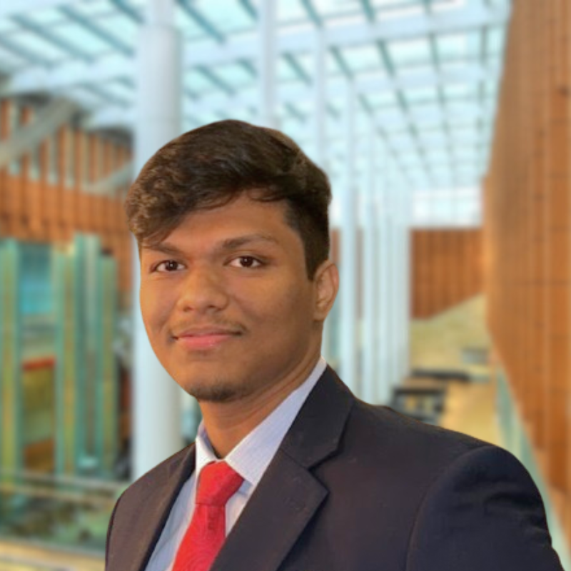 Picture of Dipro Prattoy